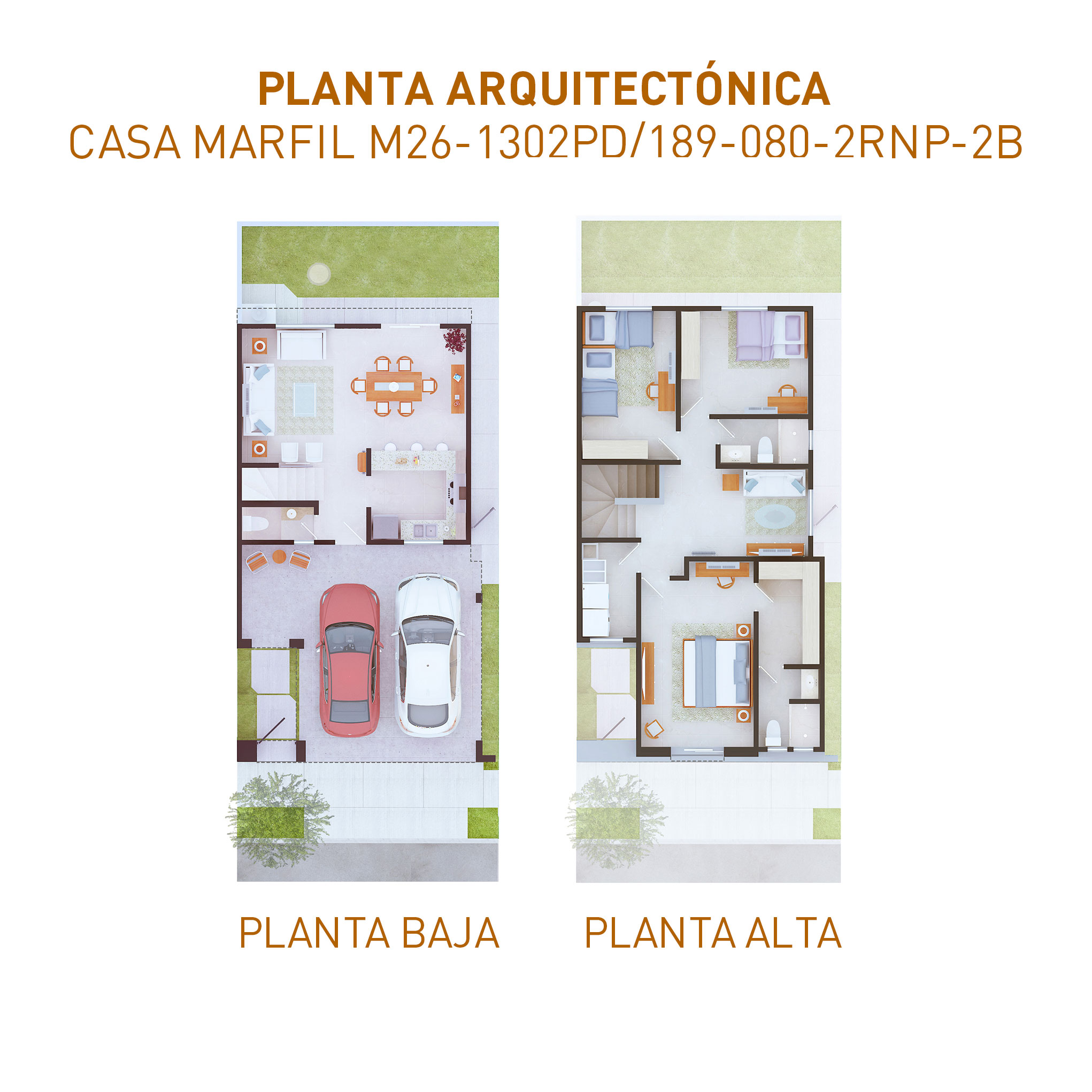 PLANTAS-1302-31052024