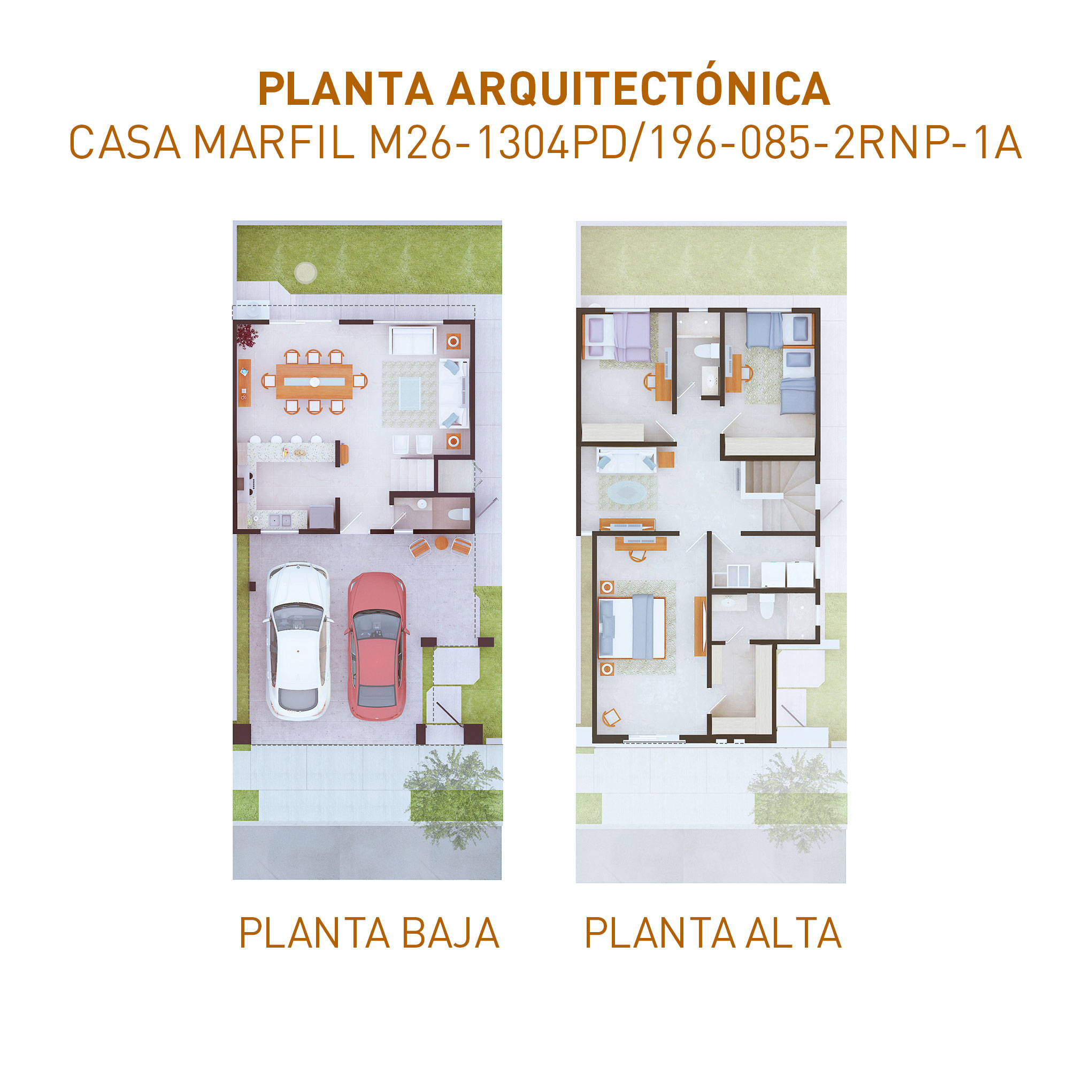 PLANTAS-1304-31052024