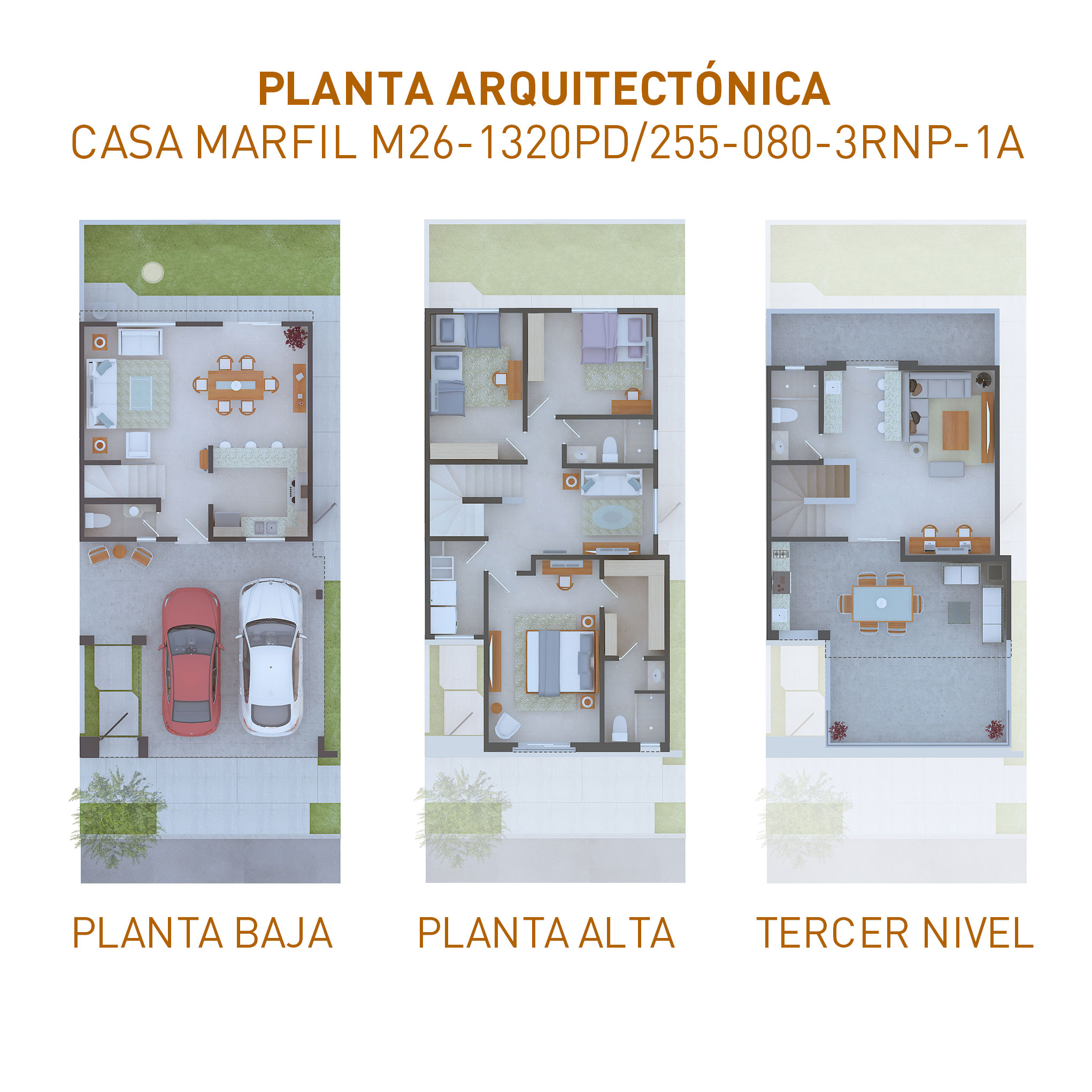 PLANTAS-1320-31052024