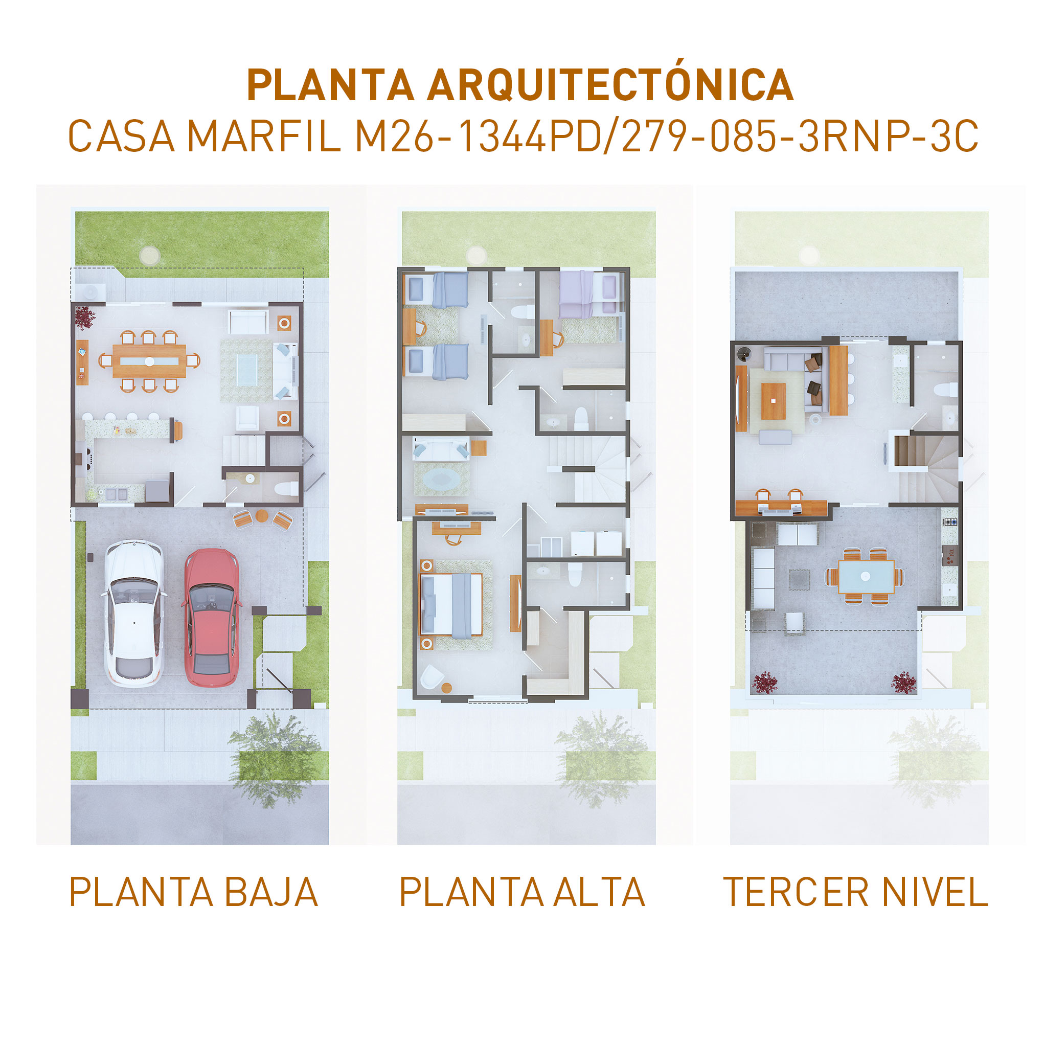 PLANTAS-1344-31052024