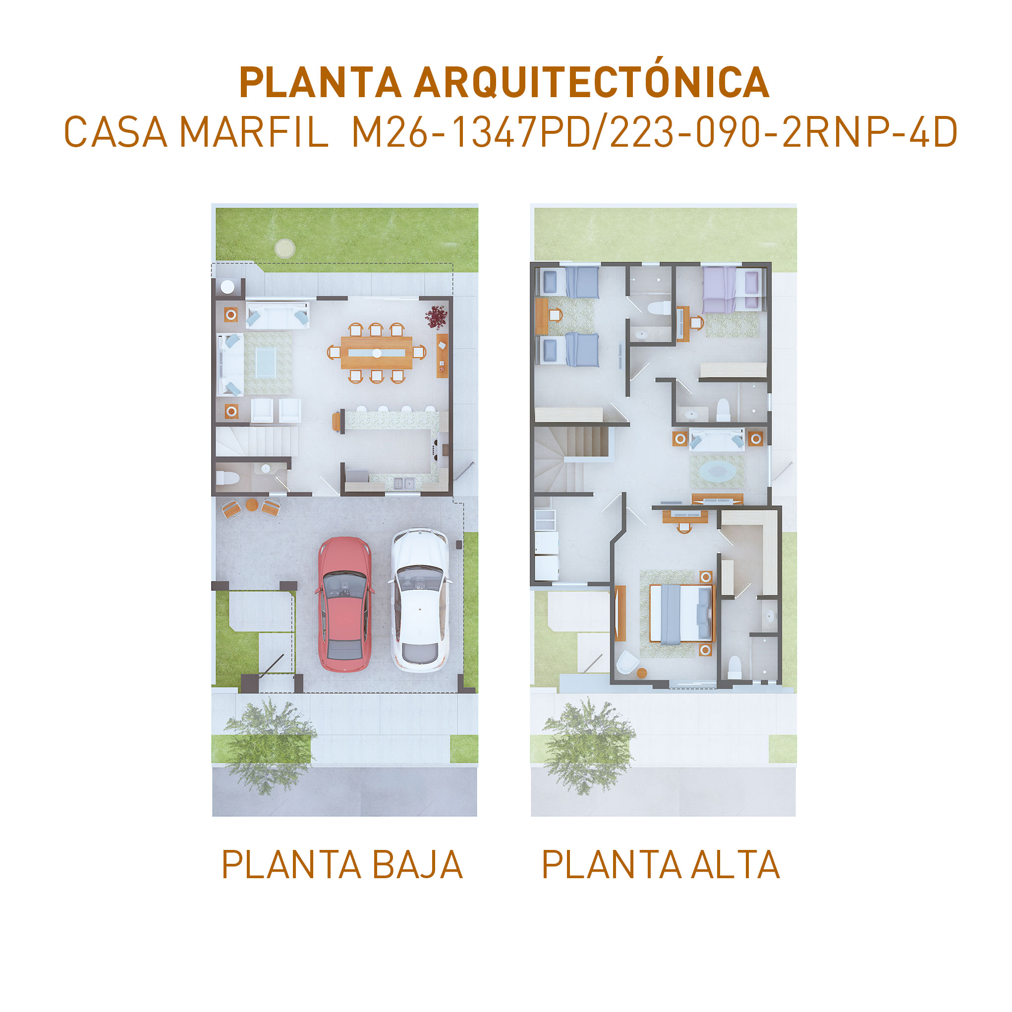 PLANTAS-31052024