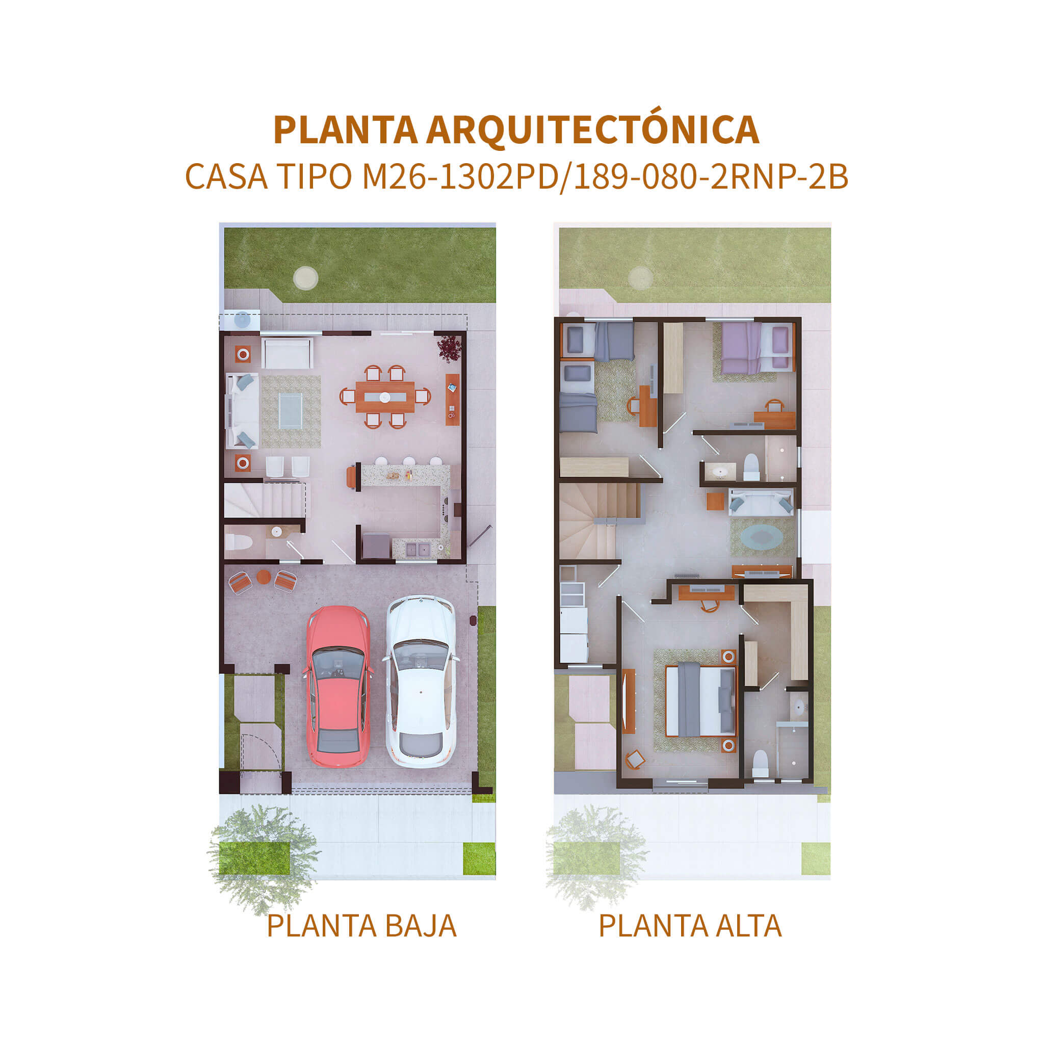 marfil-bosquealto-6-3B