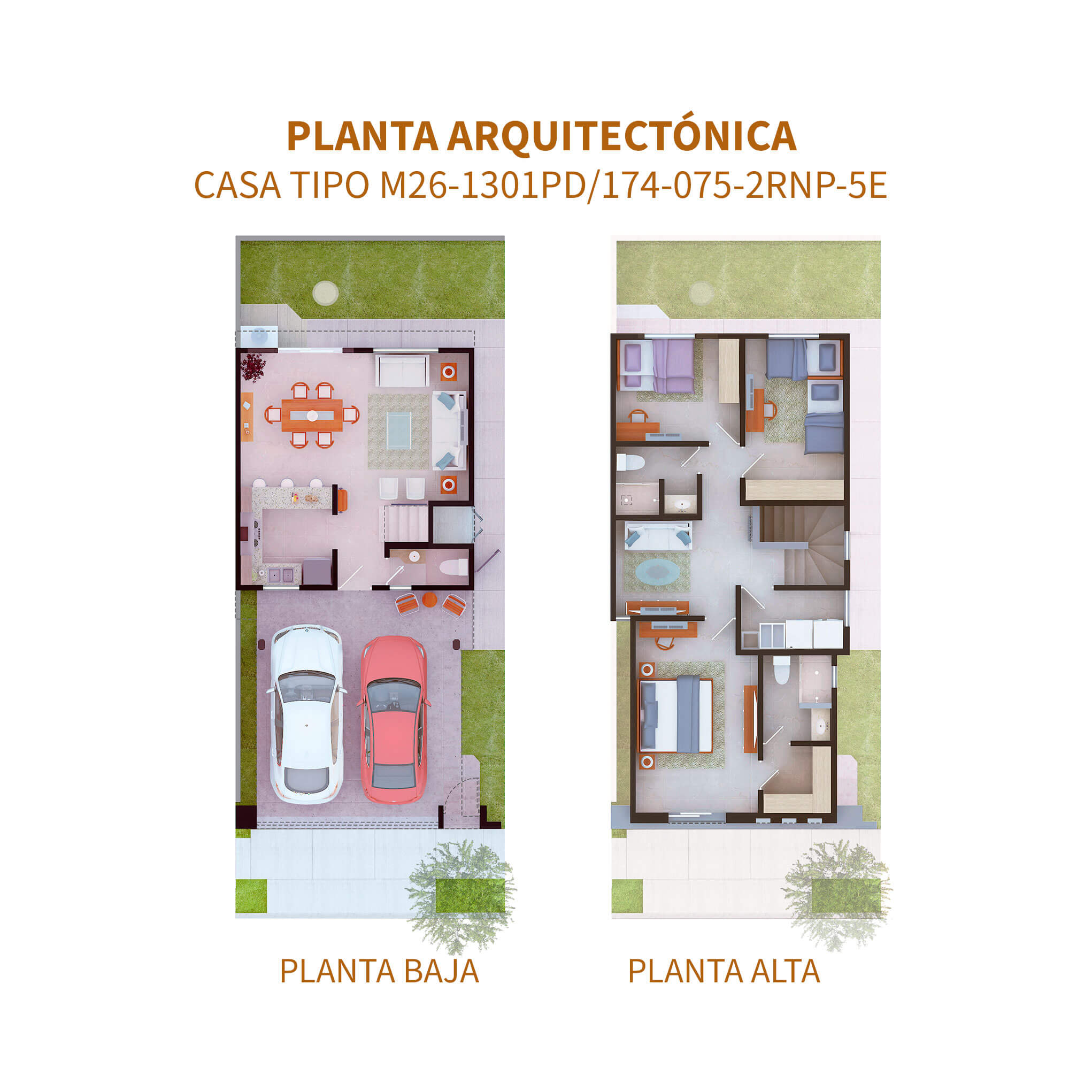 marfil-bosquealto-7-5E